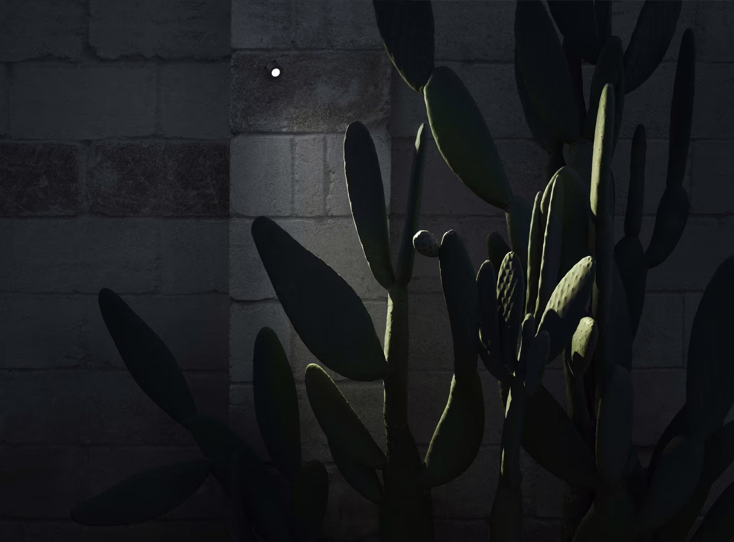 Aimer Wall/Ceiling view 2