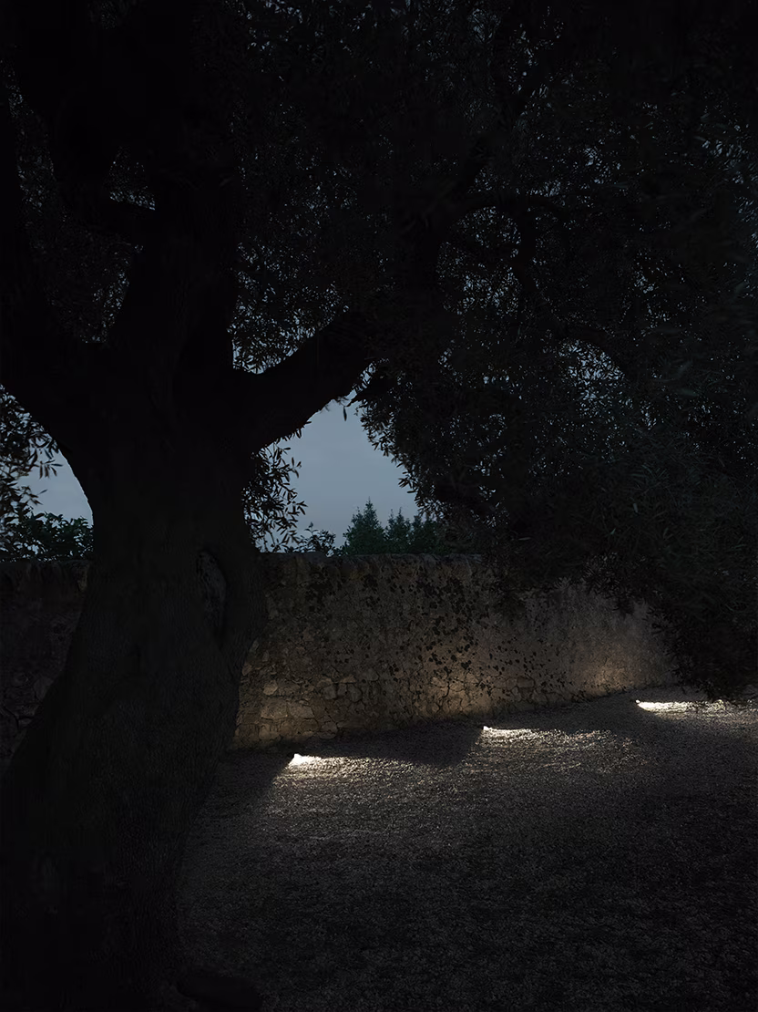 Gobi In Ground view 5