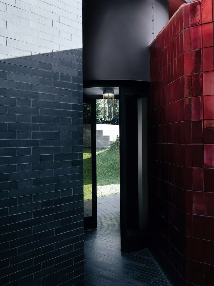 In Vitro Wall/Ceiling view 2