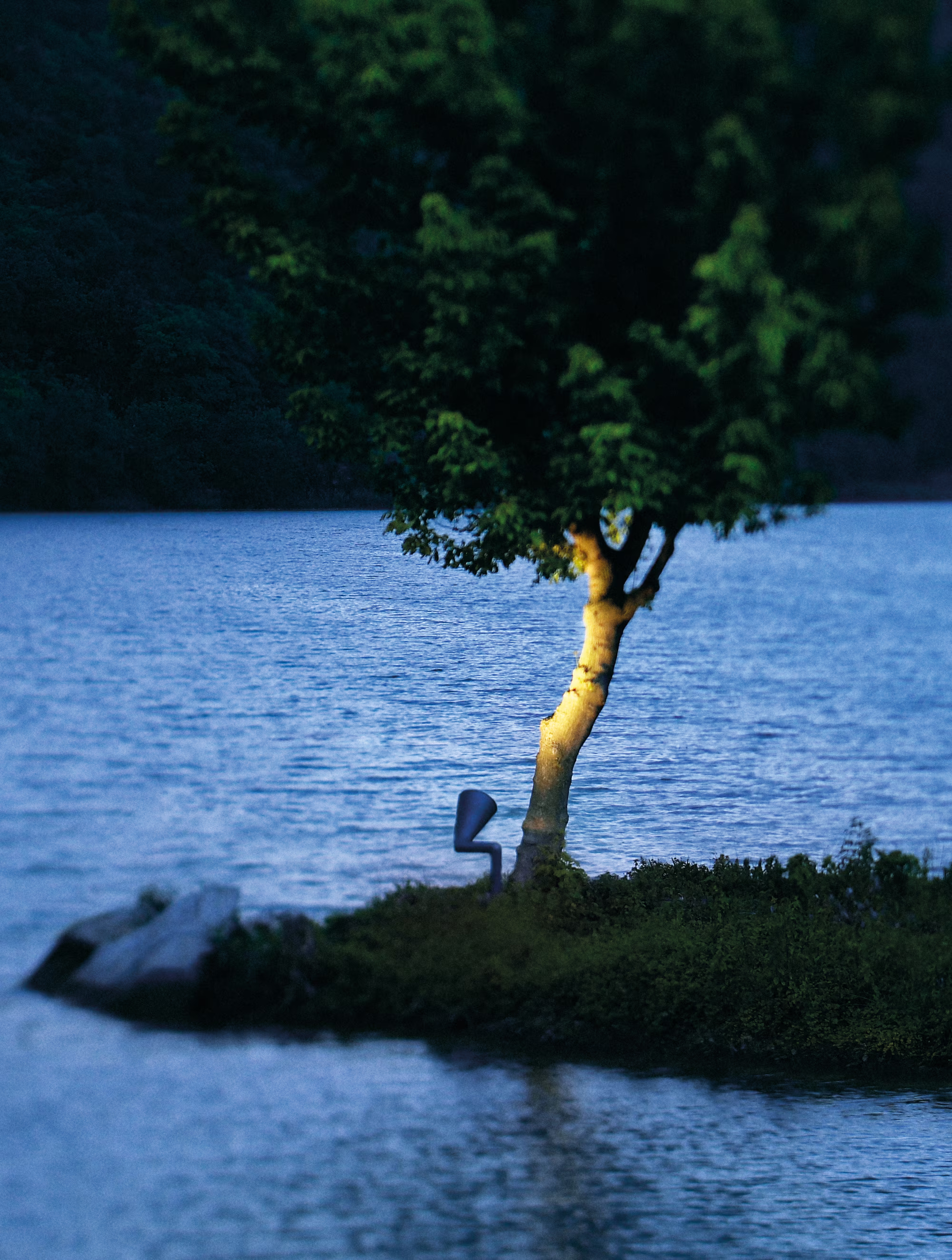 Belvedere Spot Pick view 3