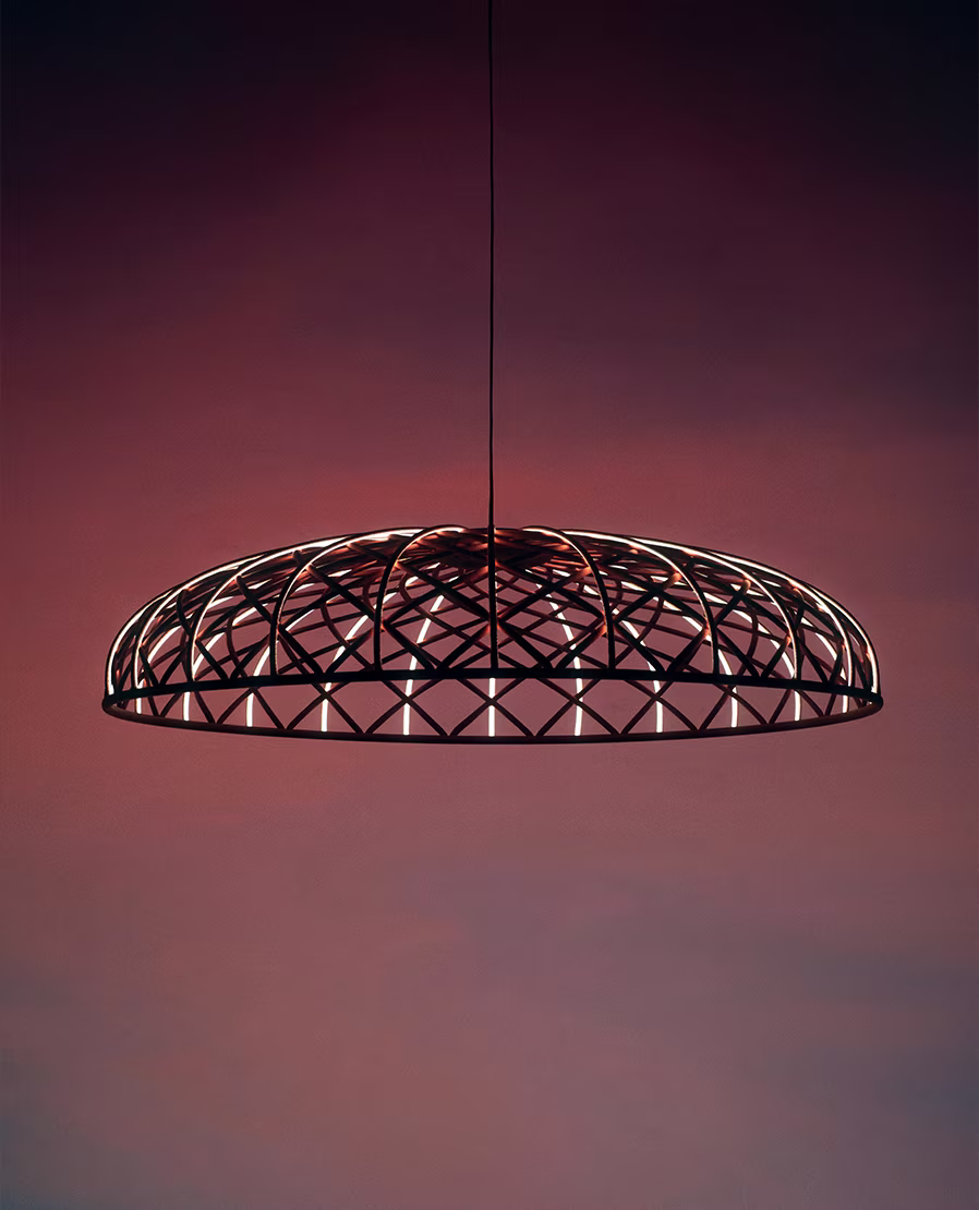 Skynest Suspension view 2