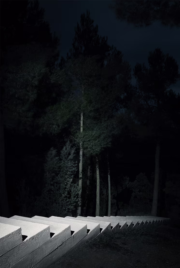 Spine Pole Top view 3