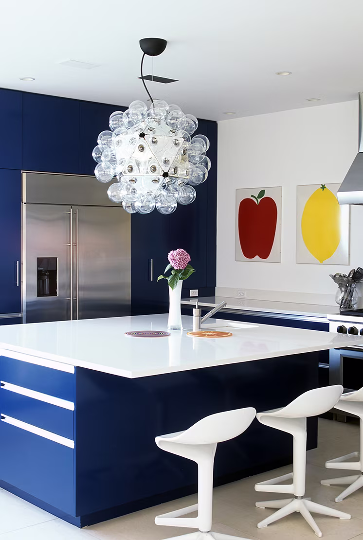 Taraxacum 88 Suspension view 3