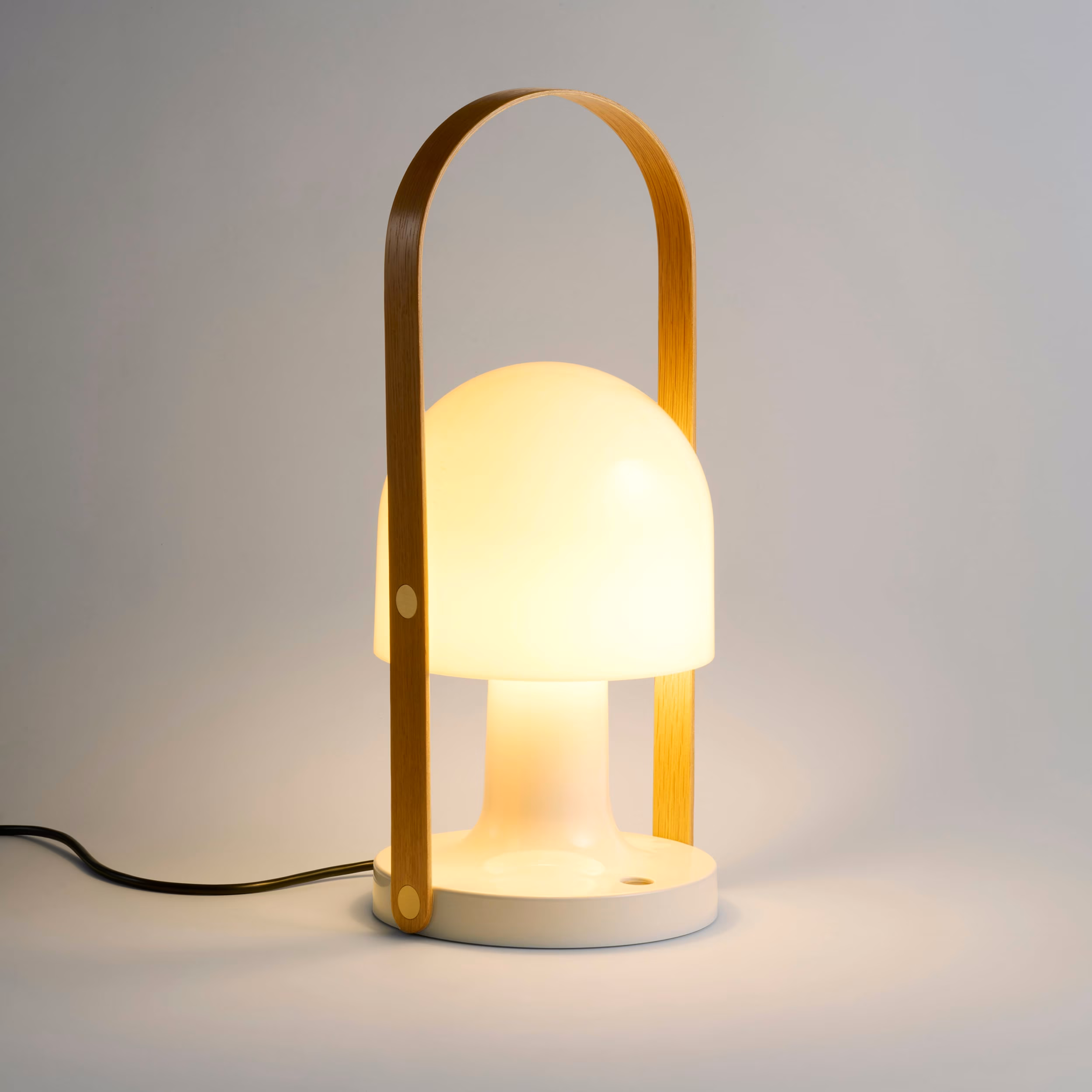 FollowMe Plus view 3