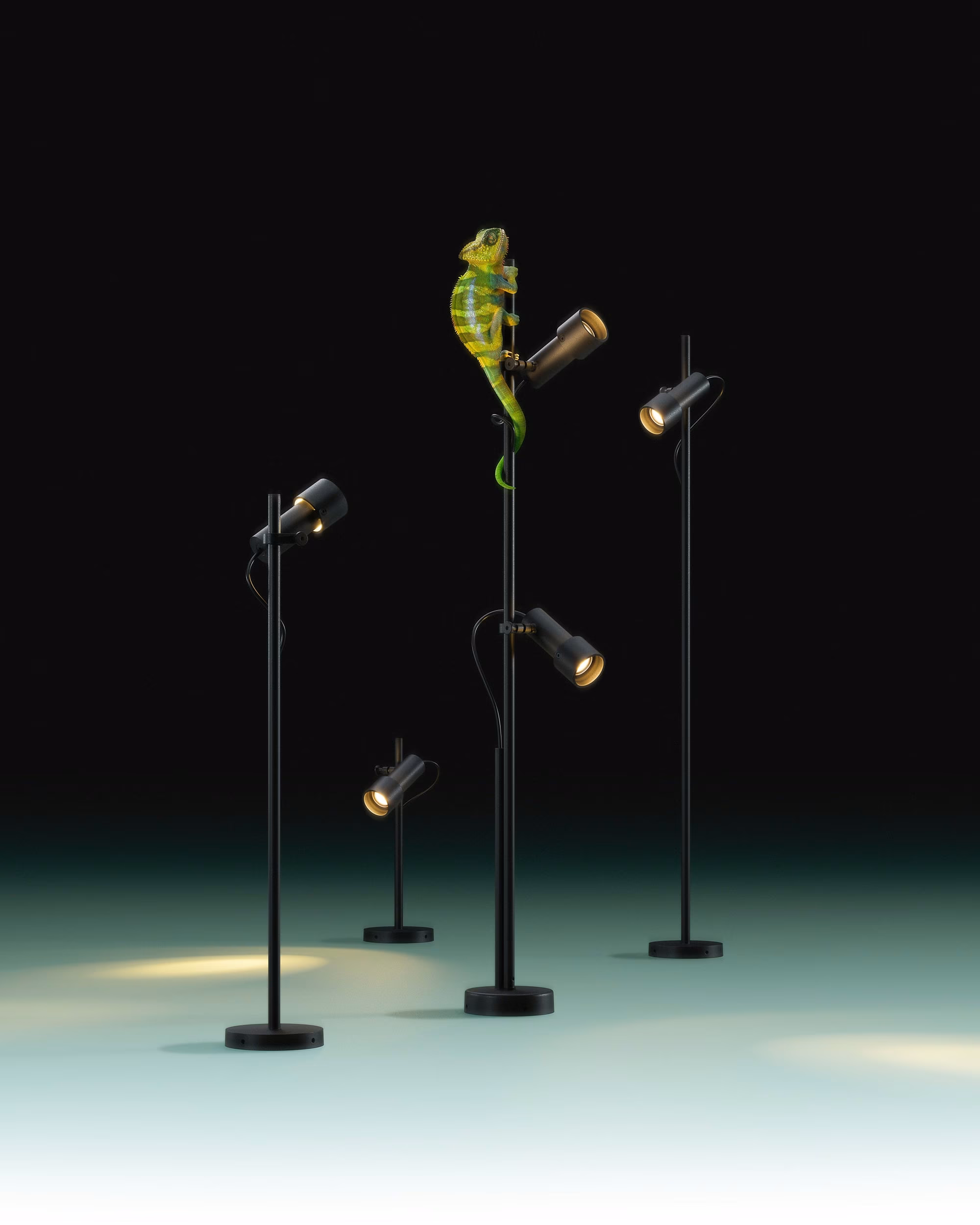 Palosanto Bollard view 2